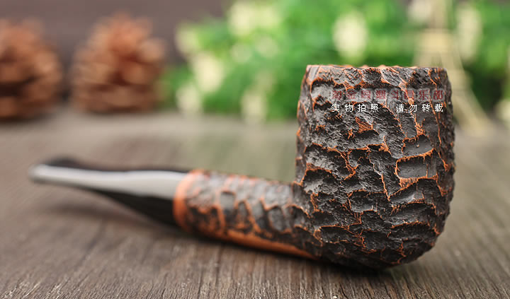 ˵ɭpeterson Aranʯľ̶ 5ɰX105-2