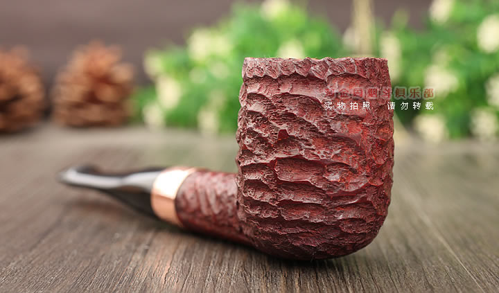 �������˵�ɭPetersonʯ�ľ�̶� 2025��ʥ���ڼ�� ����107-2